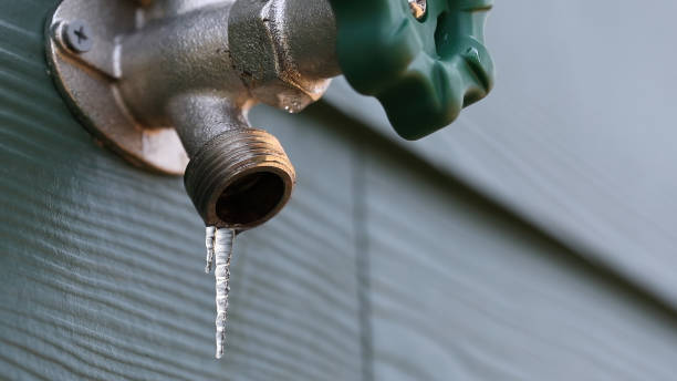 Best Clogged Drain Plumber  in Eldora, IA